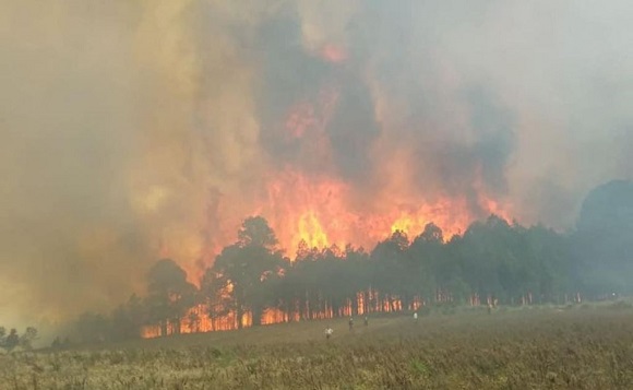 Suman seis incendios forestales en Veracruz