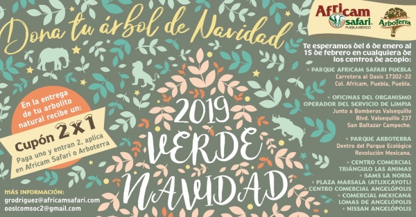 Invitan a la ciudadanía a reciclar sus árboles navideños