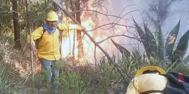 Registra la entidad 10 incendios en el arranque de este año