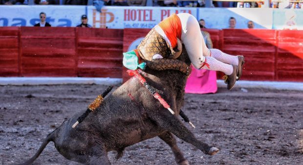 Andy Cartagena , Tarik Othón, y Fauro Aloi, salen a hombros en Zacatecas