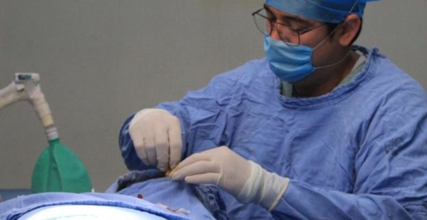 Más de 90 trasplantes, resultado de tres procuraciones multiorgánicas realizadas por el IMSS