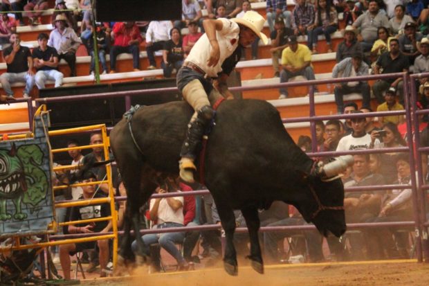 Los marginados debemos sacar adelante a nuestra patria: Antorcha