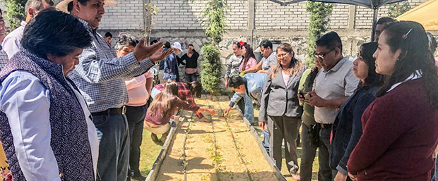 Gobierno de la Ciudad realiza jornada de capacitación sobre Agricultura Urbana en escuelas