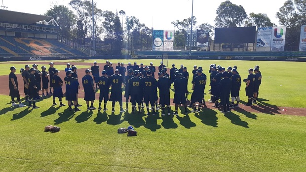 Pericos inició entrenamientos en el nido verde