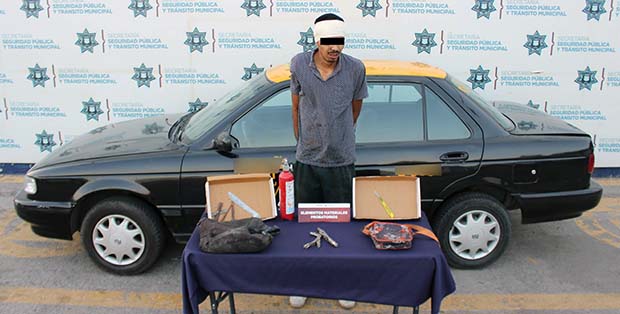 Pareja de “ratones” de autos es puesta tras las rejas