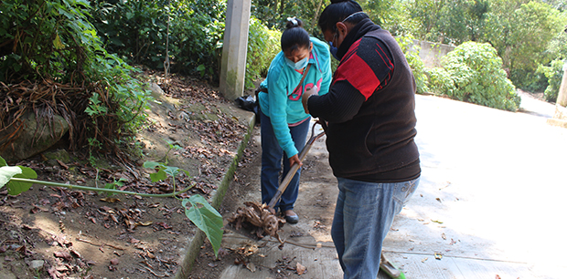 Realiza personal del DIF limpieza en las calles
