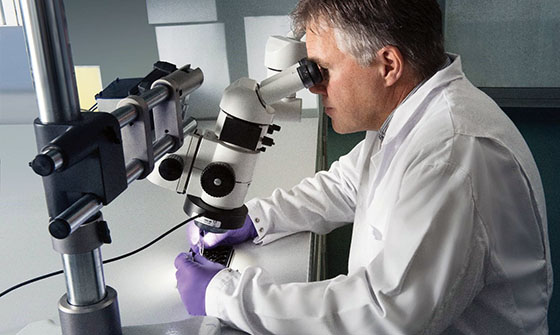 OMS, Primer Día Mundial de la enfermedad de Chagas