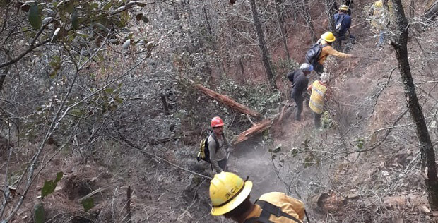 Afectan incendios forestales 51 municipios de Puebla