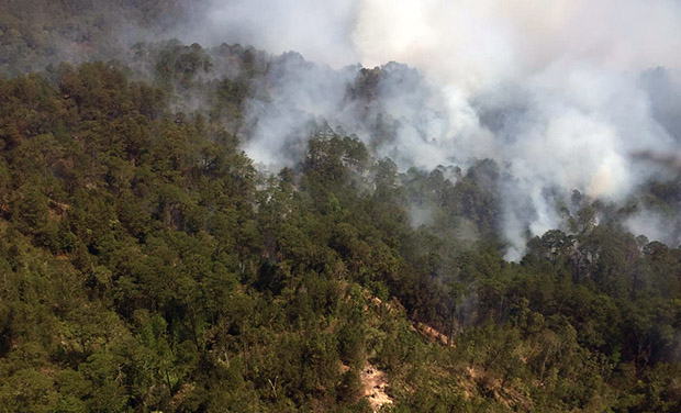 Situación de incendios forestales en México al 9 de abril