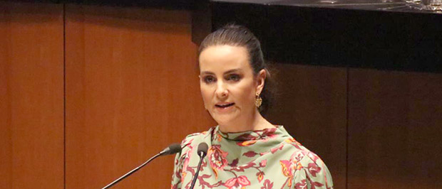 Las restricciones a plantas de energía renovable no contribuyen al cumplimiento de la agenda 2030