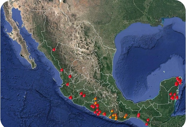 50 incendios forestales activos, cuya vegetación afectada es en su mayoría pastos y matorrales