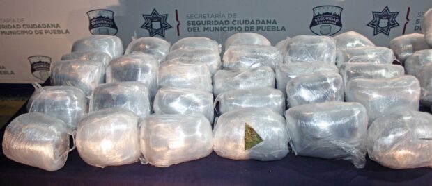 Municipal asesta otro golpe al narco decomisando 100 kilos de marihuana