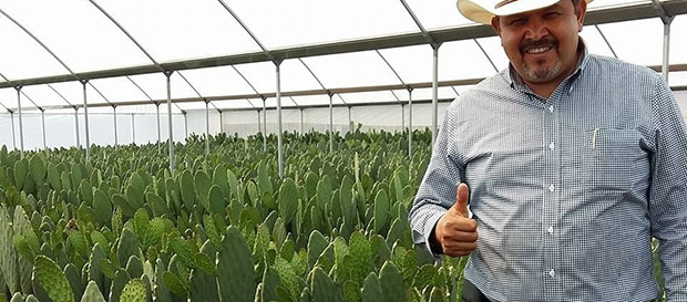 Revela la ASF irregularidades en ejercicio de presupuesto en agricultura