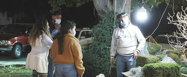 Invita Gobierno de la Ciudad a la ciudadanía a reciclar sus árboles de navidad