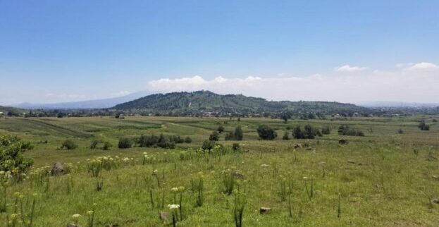Inicia Medio Ambiente saneamiento del Cerro Zapotecas