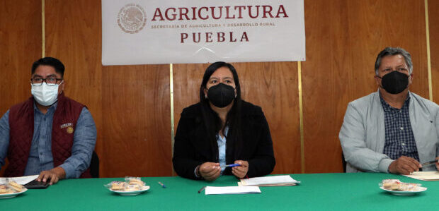 Contará campo poblano con profesionales para acompañamiento técnico a productores