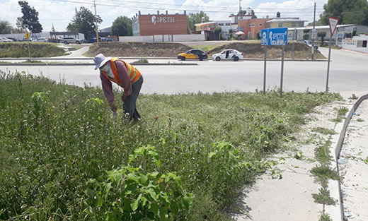 Ejecuta Infraestructura acciones de limpieza en vías de comunicación en la zona metropolitana