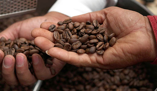 Impulsa SDR consumo de café poblano a través de barras de café