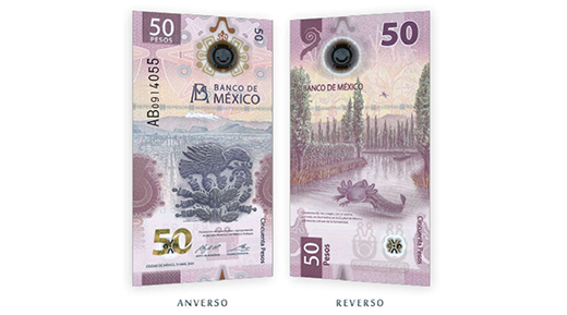 Adiós Morelos, llega el ajolote en Xochimilco en billete de 50 pesos