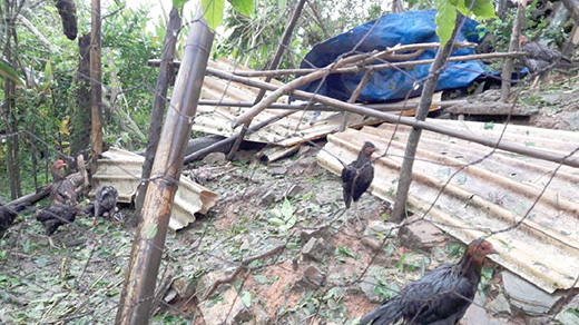 Cuetzalteco pide apoyo al gobierno para familias devastadas por Grace