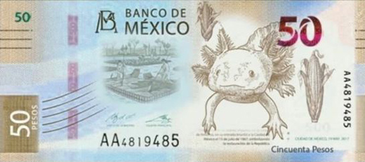 México estrenará billete de 50 pesos