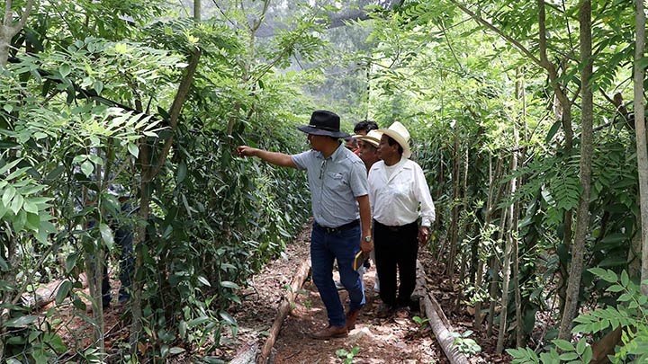 Realiza SDR gira de transferencia de tecnología con productores de vainilla