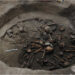 CDMX: Museo de Cuicuilco expone cómo fue una aldea asentada, en el centro de Tlalpan, hace 2,500 años