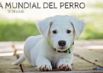 Cada 21 de julio homenajeamos a un animal de cuatro patas fiel e incondicional, considerado el mejor amigo del hombre.