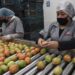 Durante primer trimestre, economía de Puebla suma 555 mdp al PIB