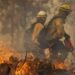 Arrasa el fuego 5 mil 700 has en California