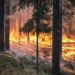 Ola de calor deja más de mil muertes y numerosos incendios en España y Portugal