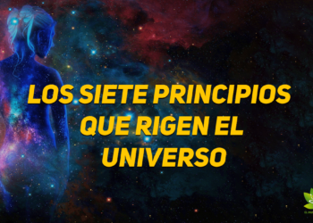 7 principios que rigen al universo y al ser humano