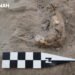 Expertos del INAH descubren evidencias de chinampas arqueológicas en Chalco, Estado de México