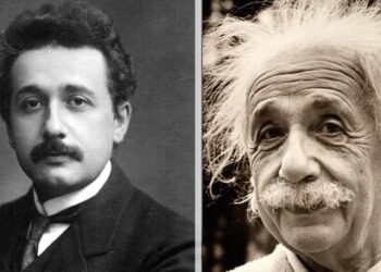 La carta de Albert Einstein a la reina de Bélgica: una meditación sobre la persistencia de la vida
