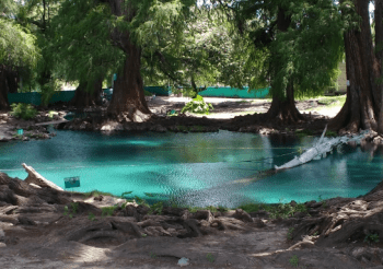 Por fin viernes, ¿no tienes a dónde ir? ¡ven a Los Ahuehuetes – Balneario natural en Puebla!