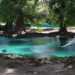 Por fin viernes, ¿no tienes a dónde ir? ¡ven a Los Ahuehuetes – Balneario natural en Puebla!