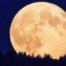 No olvides mirar la última súper luna del 2022