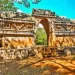 Preven cambios en Tramo 5 de Tren Maya por hallazgo de ‘sitio arqueológico impresionante’