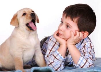 Por estas 3 características se distinguen los humanos de los animales