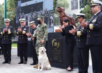 Develan escultura de Frida, perrita rescatista durante 19S