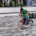 Estragos en Veracruz por lluvias en 34 municipios; rescataron a cinco personas y hubo múltiples derrumbes