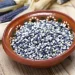El maíz azul de la mixteca: una maravillosa semilla mexicana con propiedades anticancerígenas