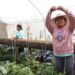 Con autosuficiencia alimentaria, fortalece Bienestar integración familiar