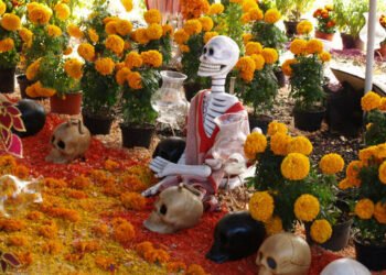 Cempasúchil, cuáles son las propiedades medicinales ocultas de la “flor de muertos”