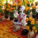 Cempasúchil, cuáles son las propiedades medicinales ocultas de la “flor de muertos”