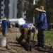 AYUNTAMIENTO DE PUEBLA AVANZA CON LA REHABILITACIÓN DE “GRANDES PARQUES”
