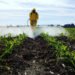 México contra los gigantes del agronegocio: ¿Adiós a los plaguicidas altamente peligrosos?