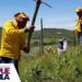 Cumple Medio Ambiente meta 2022 al plantar 257 mil árboles