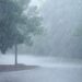 Clima 8 de enero: el frente frío Núm. 22 continuará afectando a México con lluvias y fuertes vientos