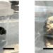 Encuentran indicios del origen de la vida en un raro meteorito que se estrelló en la Tierra